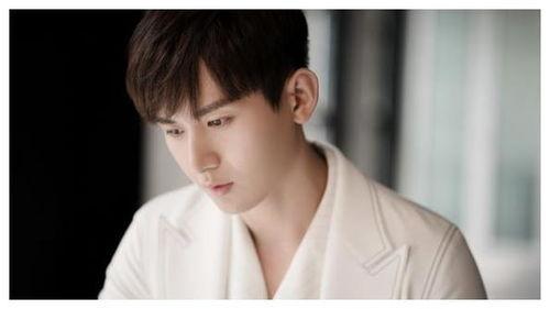 吃瓜娱乐圈成毅是谁