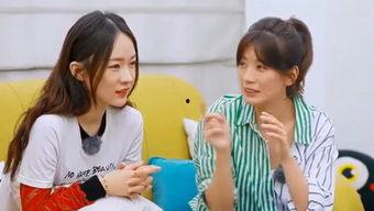 吃瓜娱乐台免费观看完整版,免费畅享明星八卦盛宴  第1张