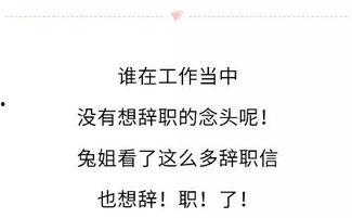 娱乐吃瓜酱辞职信,揭秘背后原因与行业影响  第2张