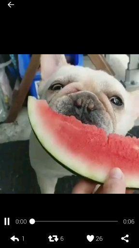 聊娱乐的吃瓜群众评价是什么,聊娱乐评价大揭秘  第3张