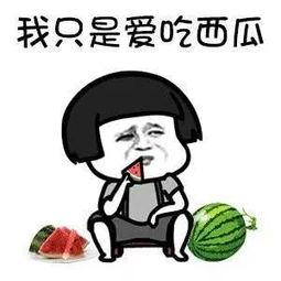 娱乐吃瓜群,揭秘吃瓜群背后的精彩故事  第2张